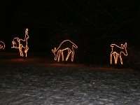 photos 2000-200902484